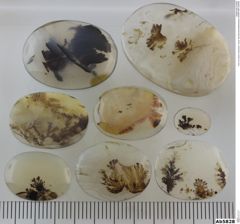 Foto von Quarz (Chalcedon, Achat, Dendritenachat/Mokkastein) (NHMW-MIN-Ab5828)